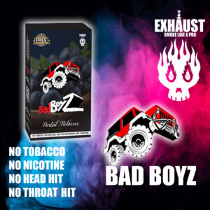 BAD BOYZ (BLUE BERRY)